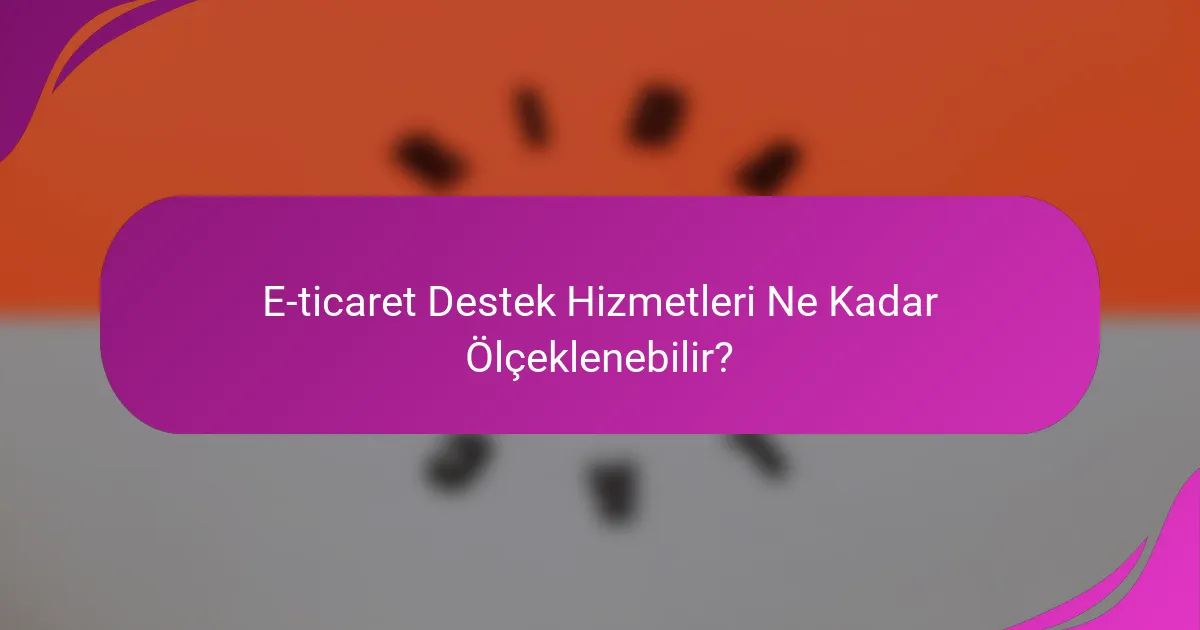 E-ticaret Destek Hizmetleri Ne Kadar Ölçeklenebilir?