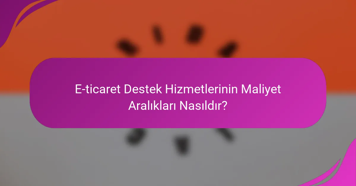 E-ticaret Destek Hizmetlerinin Maliyet Aralıkları Nasıldır?