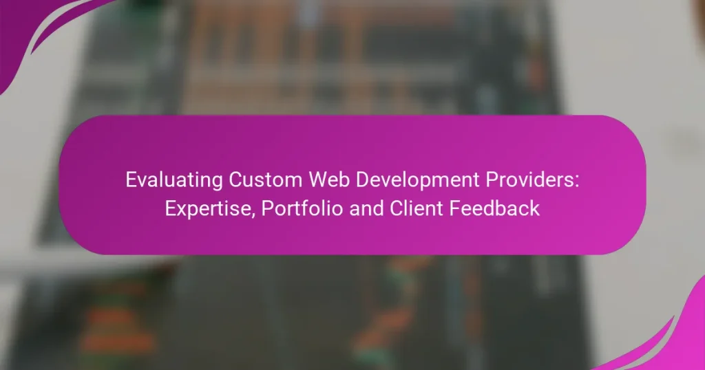 Özel Web Geliştirme Sağlayıcılarını Değerlendirme: Uzmanlık, Portföy ve Müşteri Geri Bildirimleri