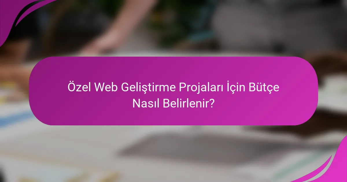 Özel Web Geliştirme Projaları İçin Bütçe Nasıl Belirlenir?