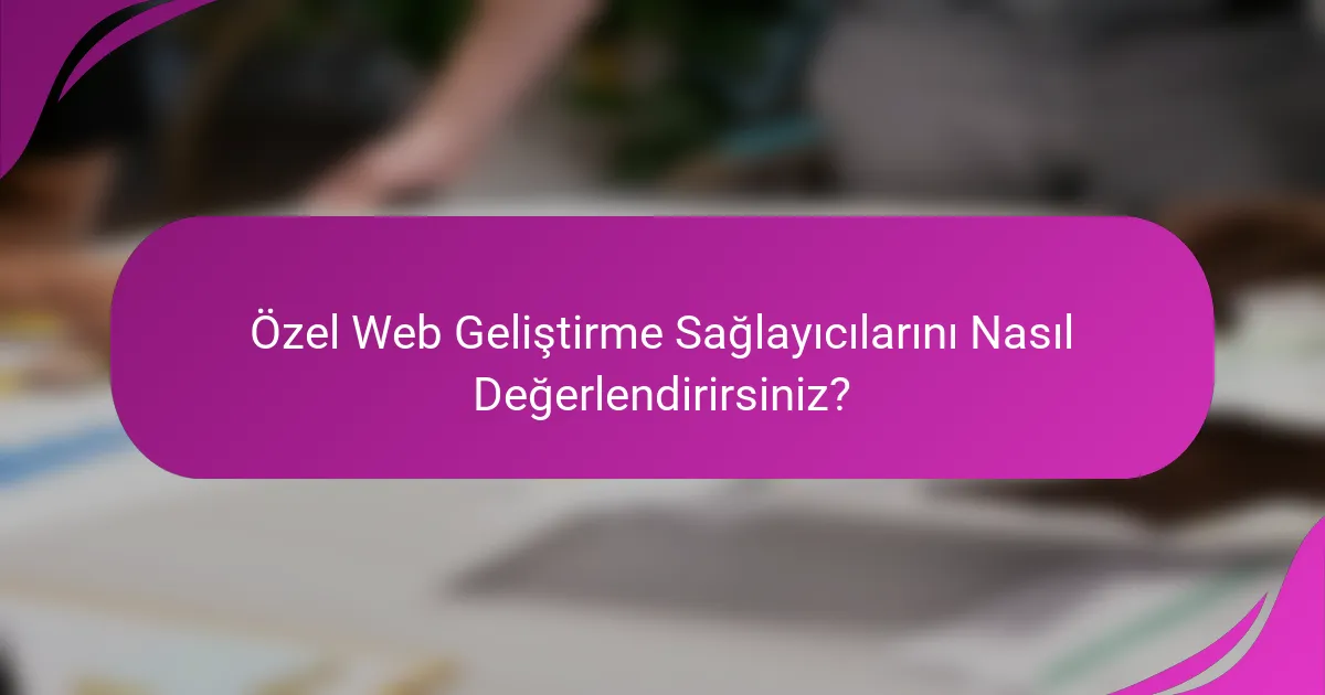 Özel Web Geliştirme Sağlayıcılarını Nasıl Değerlendirirsiniz?