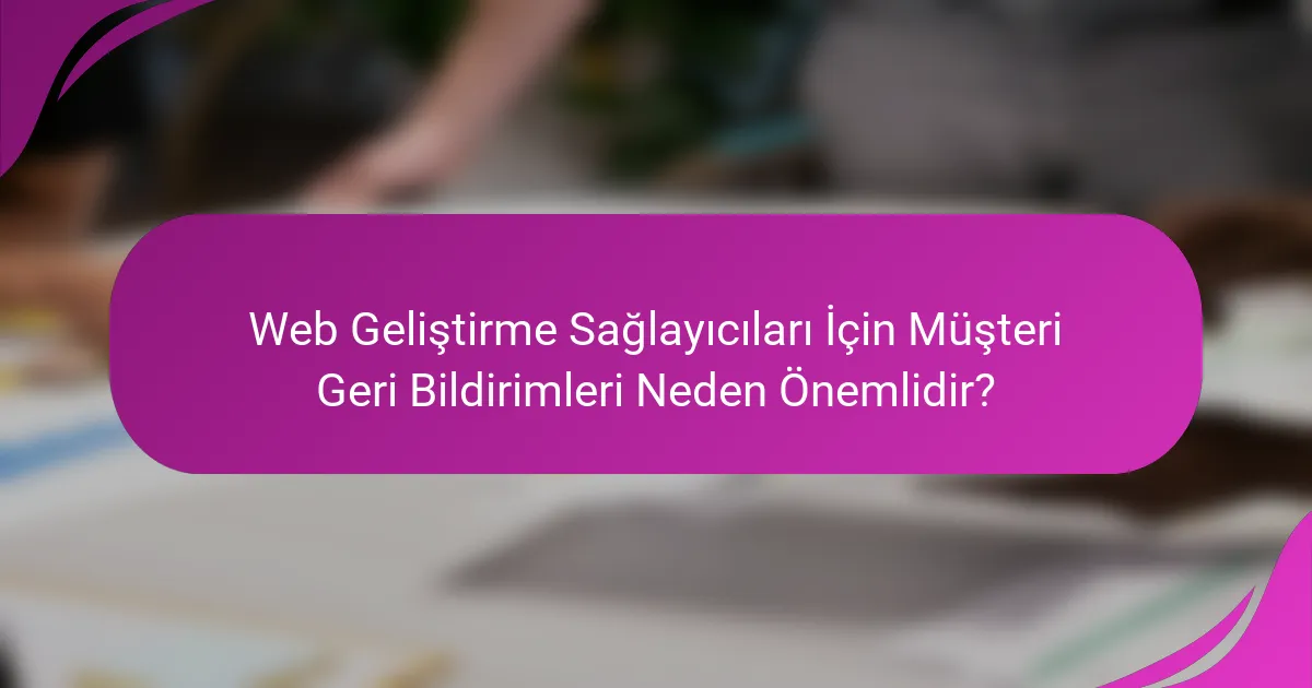 Web Geliştirme Sağlayıcıları İçin Müşteri Geri Bildirimleri Neden Önemlidir?