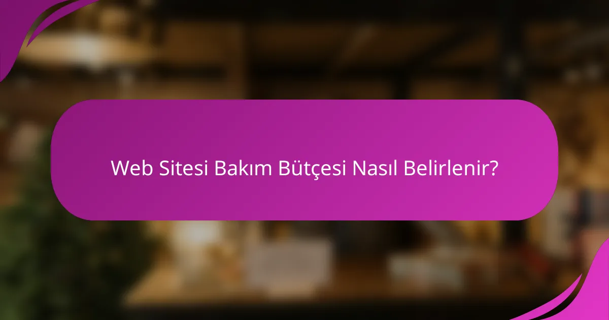 Web Sitesi Bakım Bütçesi Nasıl Belirlenir?