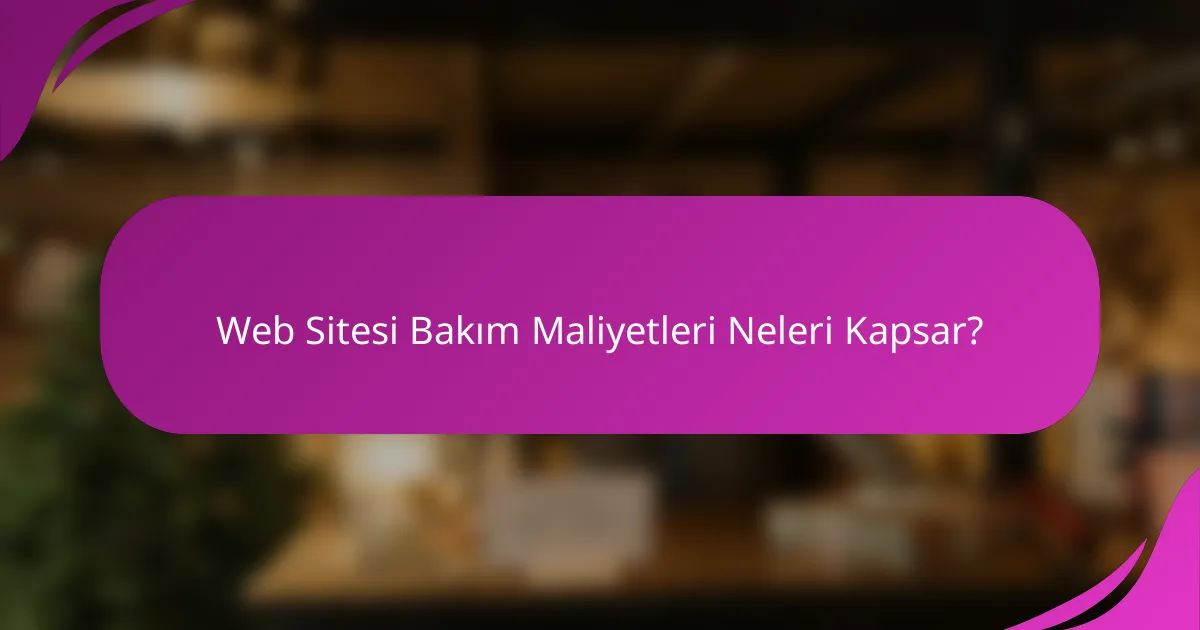 Web Sitesi Bakım Maliyetleri Neleri Kapsar?
