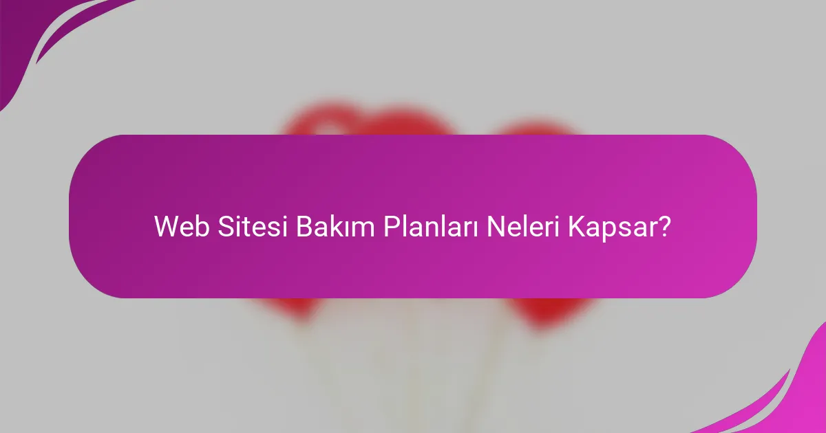 Web Sitesi Bakım Planları Neleri Kapsar?
